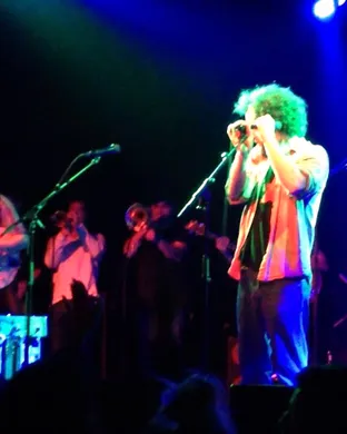 10 Ft. Ganja Plant Alternative concert