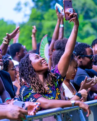 A Roots Picnic Experience Other concert