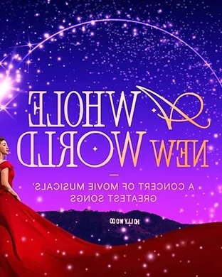 A Whole New World Other concert