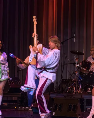 ABBA Fab Other concert