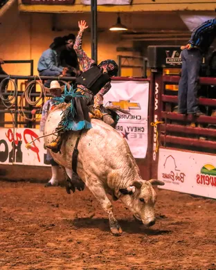 ABC Pro Rodeo Rodeo event