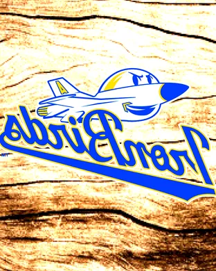 Aberdeen IronBirds Baseball event