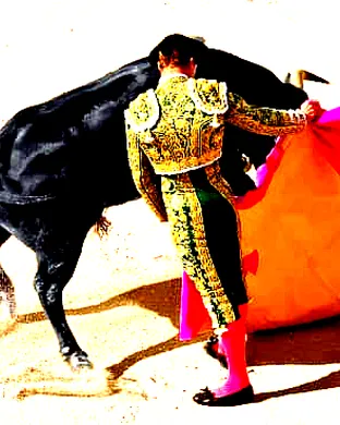 ABP Rodeo Rodeo event