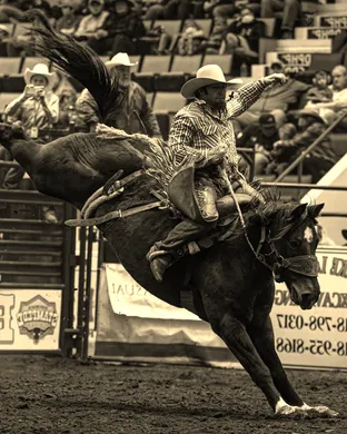 Adirondack Stampede Rodeo Rodeo event