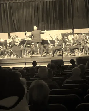 Adirondack Vet Fest Festival concert