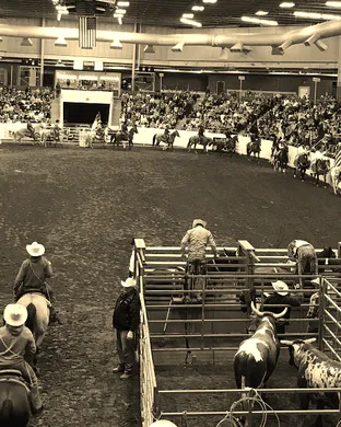 AG Expo Pro Rodeo Rodeo event