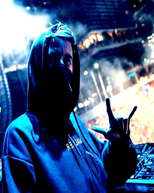 Alan Walker Techno concert