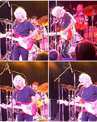 Albert Lee Country concert