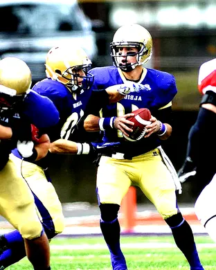 Albion College Britons Baseball event