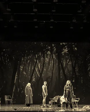 Alcina Ballet show