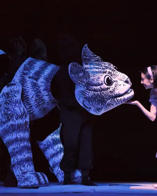 Alice - Ballet Ballet show