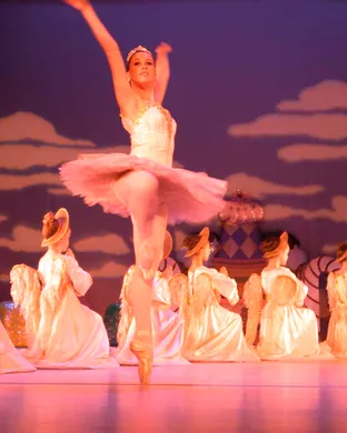 Alice In Wonderland - Ballet Ballet show