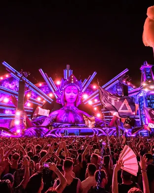Alison Wonderland Techno concert