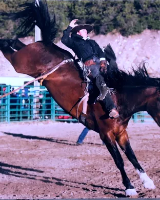 Alpine Rodeo Rodeo event