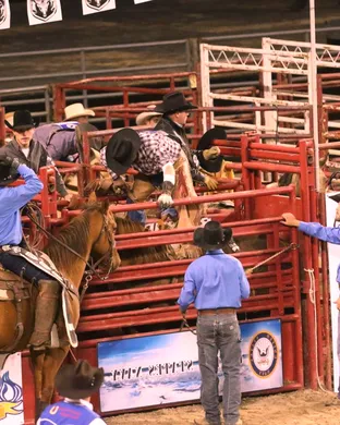 American Finals Rodeo Rodeo event