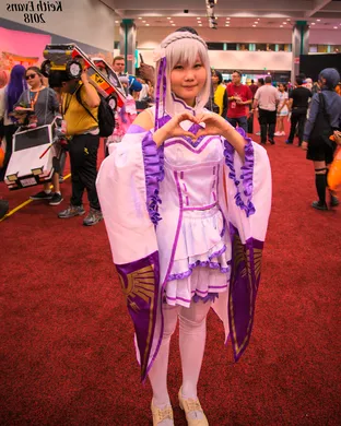 Anime Expo Other concert