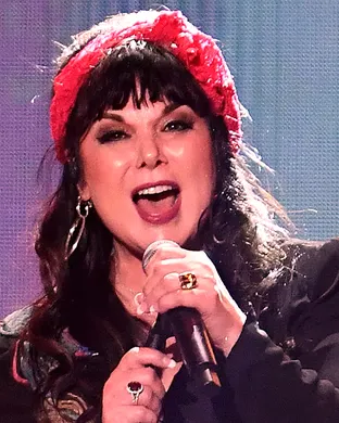 Ann Wilson Pop concert