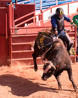 Arizona Gay Rodeo Rodeo event