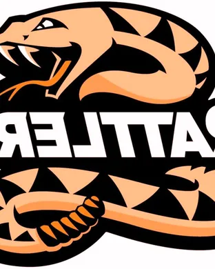 Arizona Rattlers 50s concert