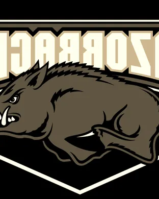 Arkansas Razorbacks Basketball Basketball event