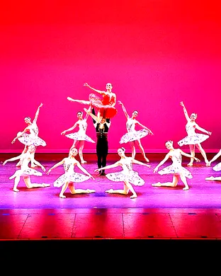Arts Ballet Theatre of Florida Ballet show