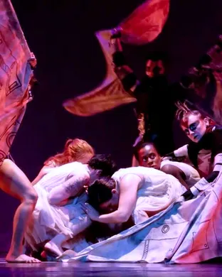Asheville Contemporary Dance Theatre Ballet show
