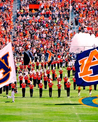 Auburn Tigers Football Football event