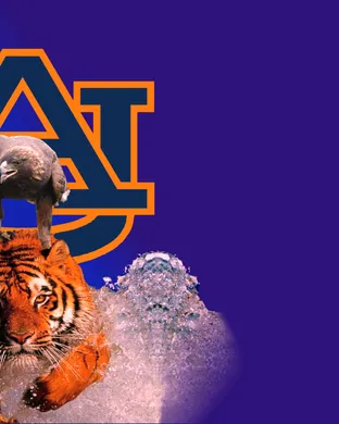 Auburn Tigers Basketball event