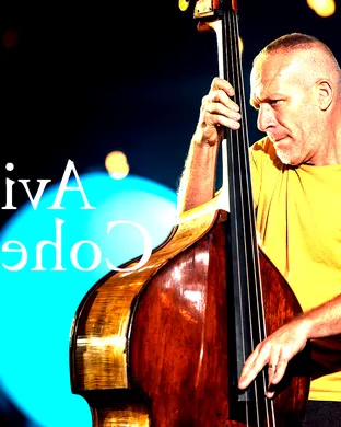 Avishai Cohen Trio Jazz concert