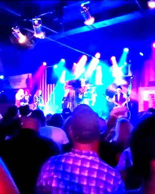 Bag of Donuts Pop concert
