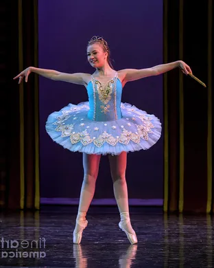 Ballet Conservatory of Asheville Ballet show