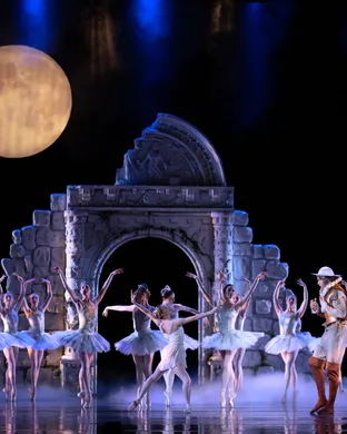 BalletMet Ballet show