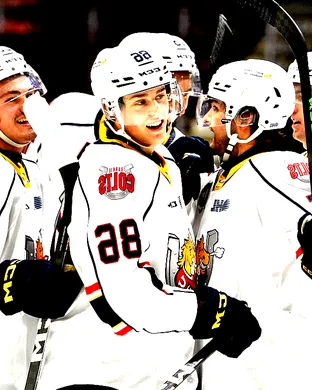 Barrie Colts Hockey event