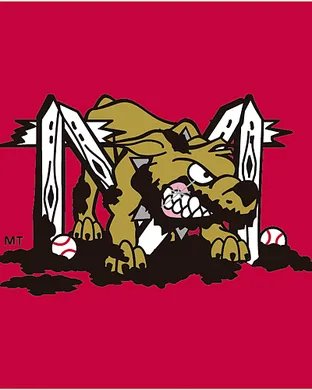 Batavia Muckdogs Baseball event