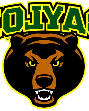 Baylor Bears Football event