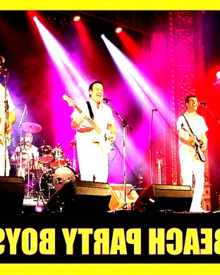 Beach Party Boys - A Tribute to the Beach Boys Other concert