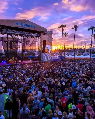 BeachLife Festival Festival concert
