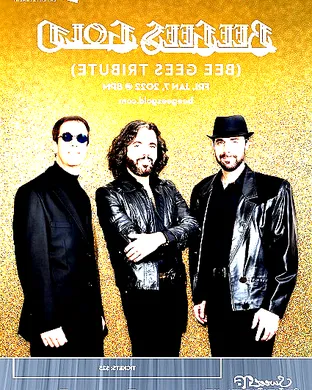 Bee Gees Gold - A Tribute to The Bee Gees Other concert