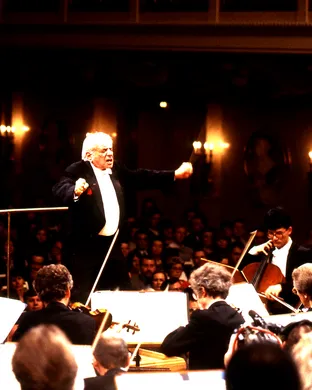 Beethoven Ninth Classical concert