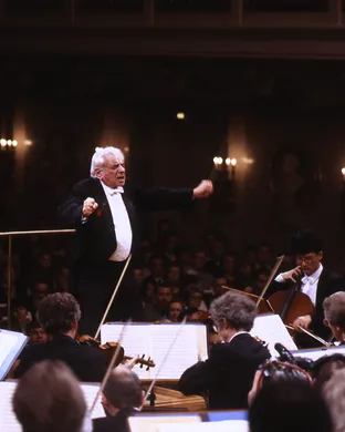 Beethoven's Ninth Symphony Classical concert