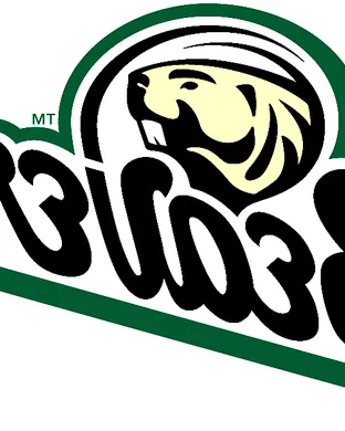Bemidji State Beavers Baseball event