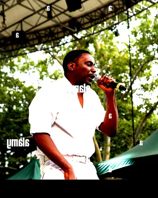 Big Daddy Kane Festival concert