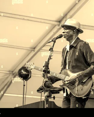 Big Easy Blues Fest Festival concert