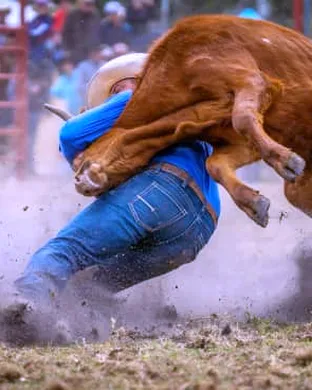 Big Fork Montana PCRA Pro Rodeo Rodeo event