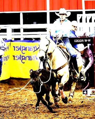 Big Spring Cowboy Reunion and Rodeo Rodeo event