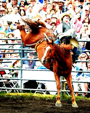 Bigfork Montana Summer Pro Rodeo Rodeo event