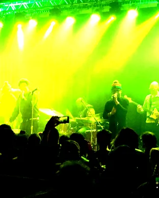 Bilal R&b concert