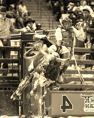 Bill Pickett National Championship Rodeo Rodeo event