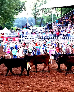 Black Hills Roundup Rodeo event
