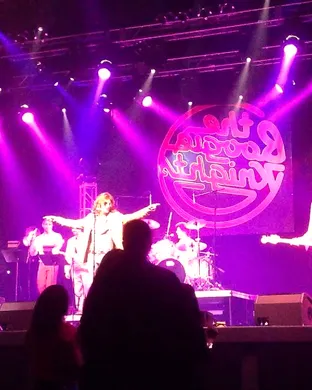 Boogie Knights Pop concert